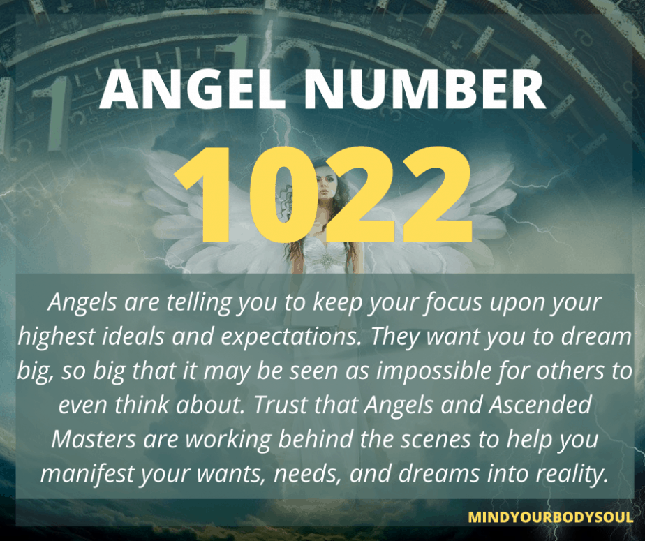  Numéro d'ange 1022 Signification : S'engager et se connecter