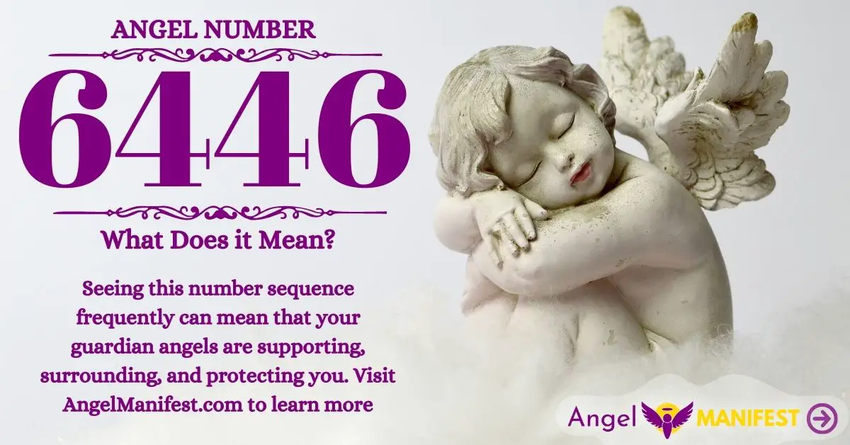  Angel Número 6446 Significado: Proteger tus ganancias